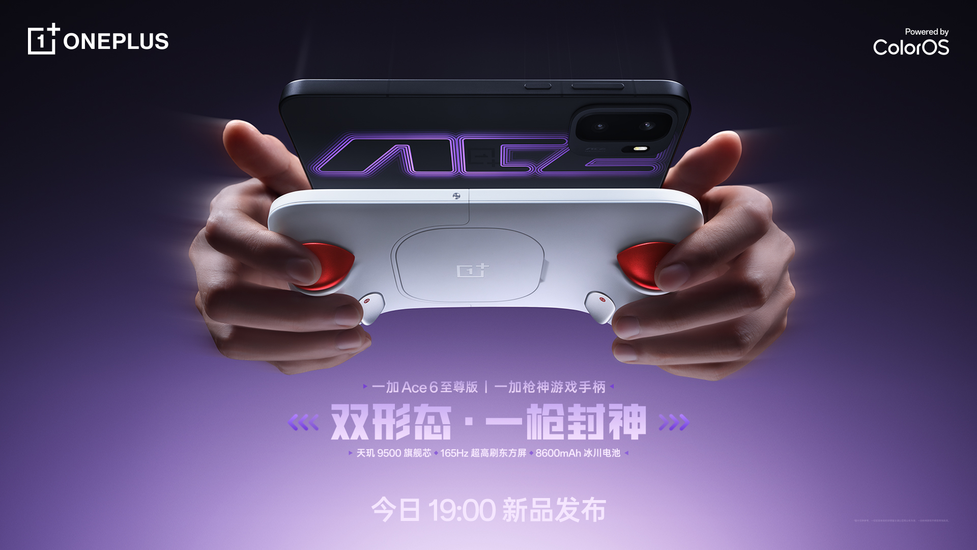 微信图片_20260428182007_356_230.jpg